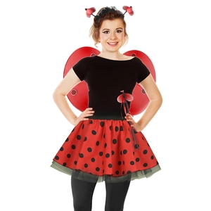 Ladybird Skirt Costume