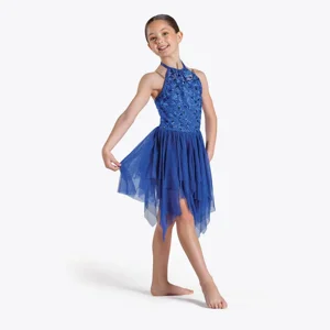 Embroidery Sequin Lyrical Dress