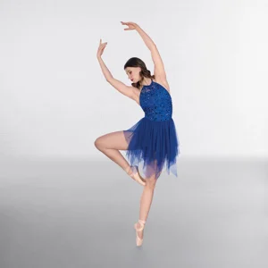 Embroidery Sequin Lyrical Dress