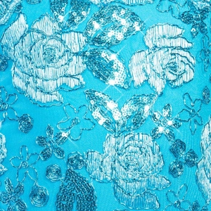 Sequin Lace Bodice with Matching Trim Tutu Skirt