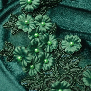 Velvet Appliqué Circular Frilled Skirted Leotard