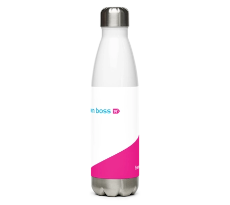 Stainless Steel Water Bottle