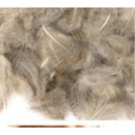 Veniards Partridge Neck Feathers