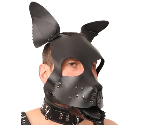 The Red Leather Puppy Dog Mask
