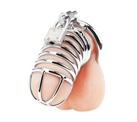Deluxe Chastity Cage Silver