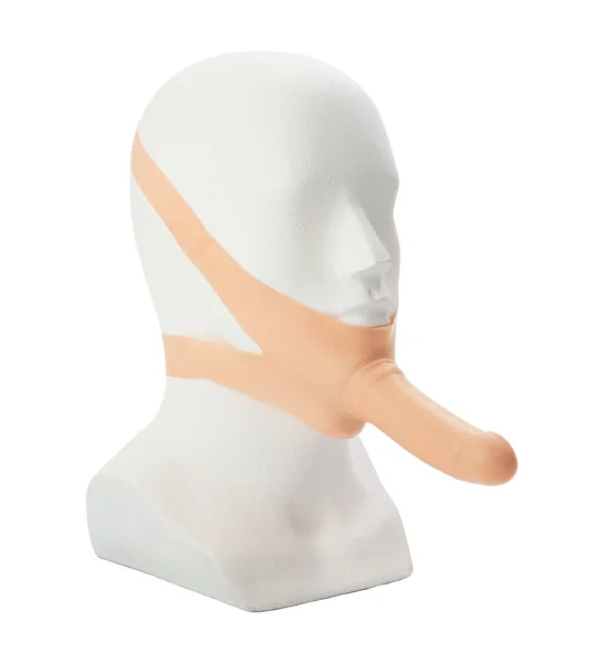 The Accommodator Face Strap On Dildo