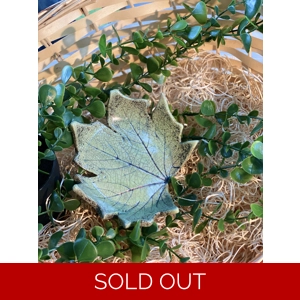 Small Leaf Trinket Dish