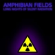 Amphibian Fields - Long Nights Of Silent Radiation
