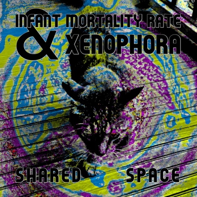 IMR & Zenophora - Shared Space