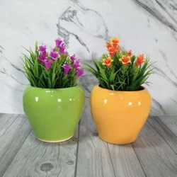 Apple Indoor Multi Pot