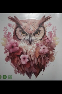 Large Owl Decals