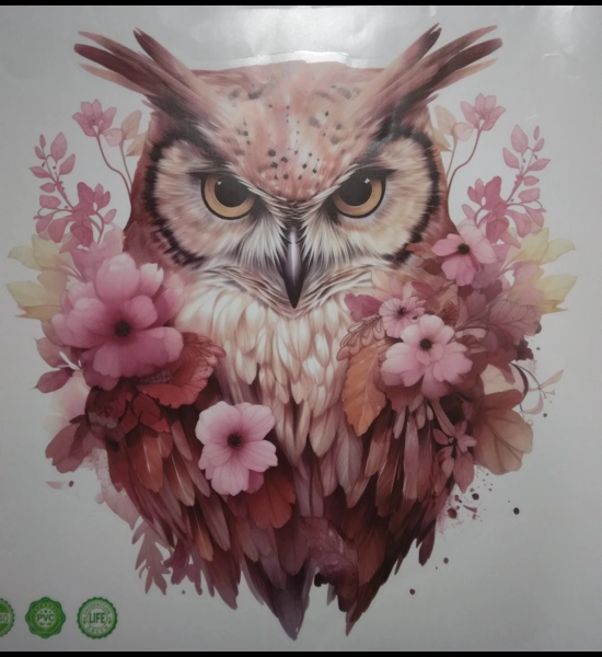 Large Owl Decals