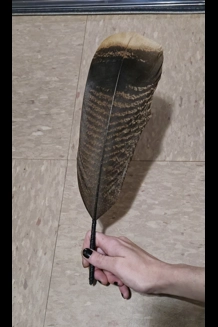 Turkey Feather Pen Turkey Feather Pen