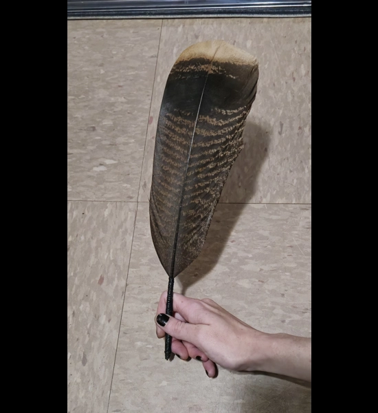 Turkey Feather Pen