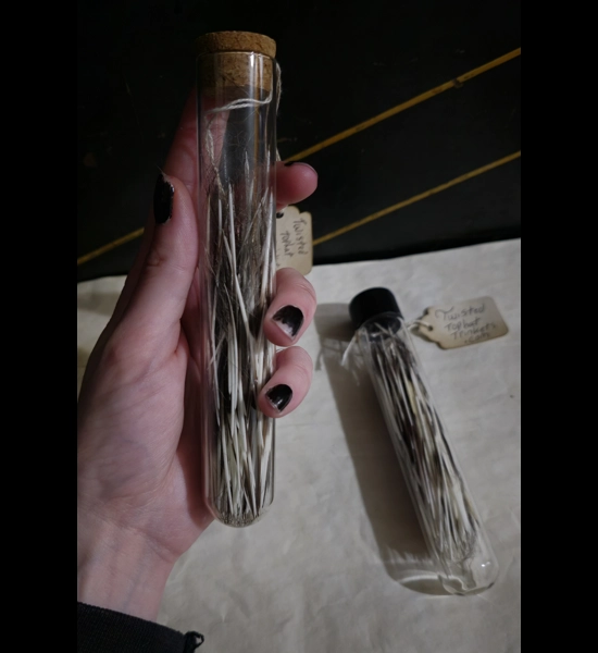 Lg Porcupine Quill Vial