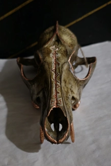 Decorated Skull