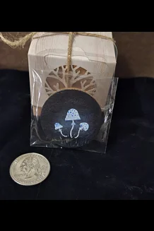 night shrooms 2