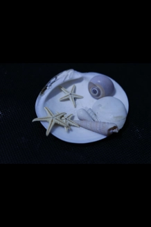 Oceanfinds Baggie