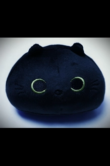 Black Cat Plushie