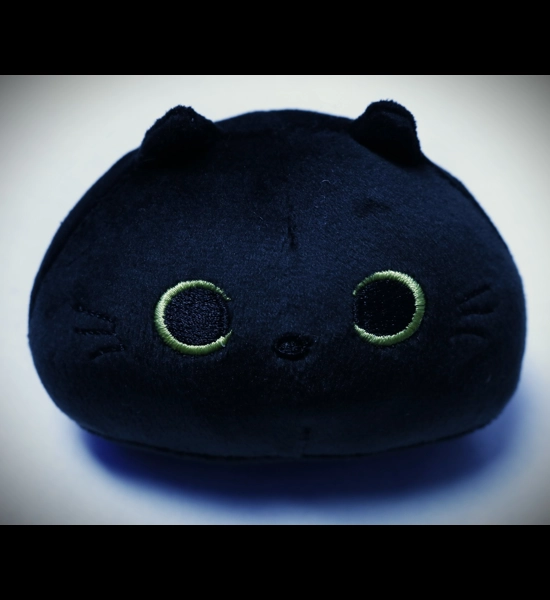 Black Cat Plushie