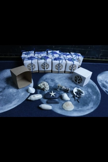 Ocean Wonders Mini Box