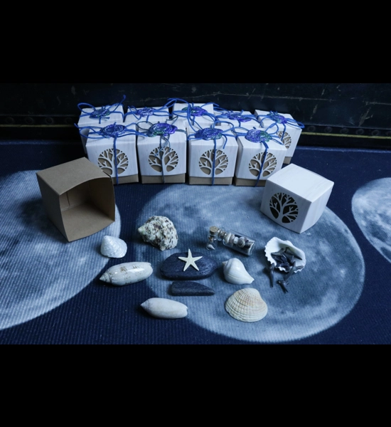 Ocean Wonders Mini Box