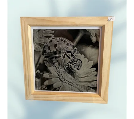 Nature's Delicate Beauty: Engraved Ladybug & Daisy Framed Art
