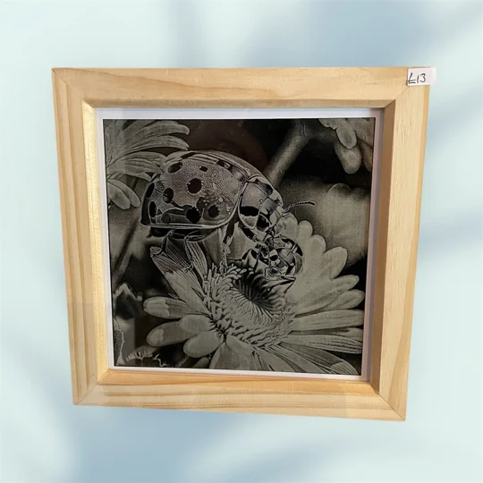 Nature's Delicate Beauty: Ceramic Tile Engraved with a Ladybug & Daisy Framed Art