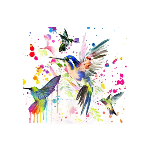 Tumbler Cup UK - Hummingbirds