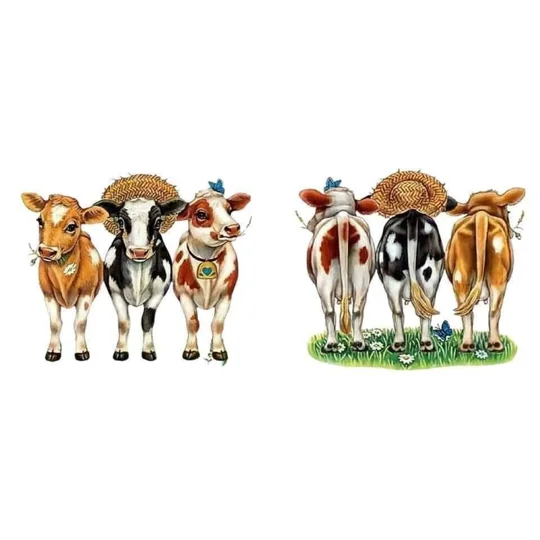 Personalised Drink Bottle UK - The 3 Cows