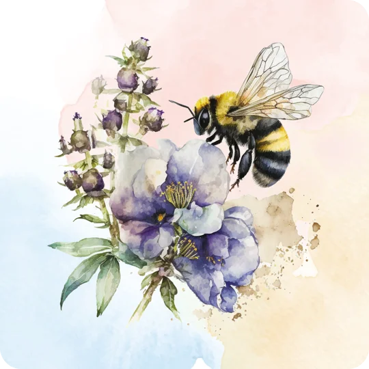 Bumble Bee coasters set of 4