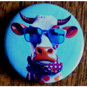 Various Fun Pin Badges 014