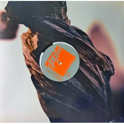 Pixies – The Night The ..