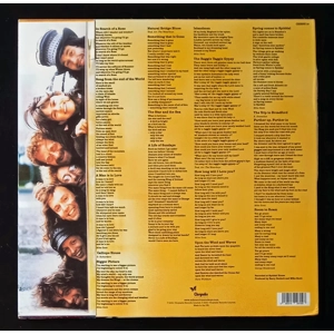 The Waterboys – Room to Roam (Half-Speed Mastered)