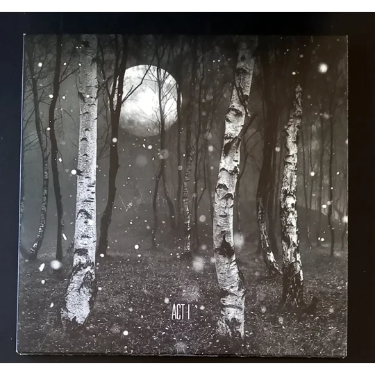 Before The Dawn is a deluxe 4×LP vinyl box set capturing Kate Bush’s stunning 2014 live comeback at Hammersmith Apollo—her first shows in 35 years. Released under the name The KT Fellowship, this original 2016 pressing features recordings from multiple nights, with no overdubs or studio fixes, preserving the energy and emotion of the live performances.