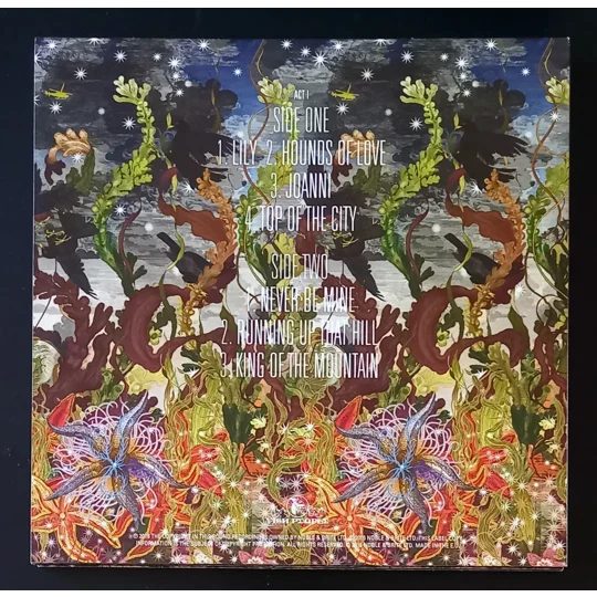 Before The Dawn is a deluxe 4×LP vinyl box set capturing Kate Bush’s stunning 2014 live comeback at Hammersmith Apollo—her first shows in 35 years. Released under the name The KT Fellowship, this original 2016 pressing features recordings from multiple nights, with no overdubs or studio fixes, preserving the energy and emotion of the live performances.