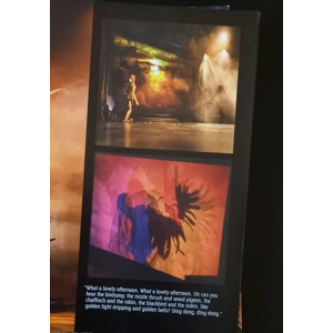 The KT Fellowship, Kate Bush – Before The Dawn (4×LP Box Set)