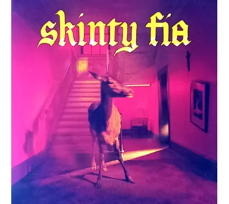 Fontaines D.C. – Skinty Fia Vinyl