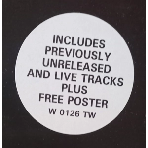 Red Hot Chili Peppers – Breaking The Girl (12"/ 45rpm + Poster)