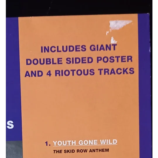 A classic pairing from American heavy rockers Skid Row, this 12″ vinyl single brings together the band’s rebellious anthem Youth Gone Wild with Delivering the Goods, a live cover that captures their raw stage energy.