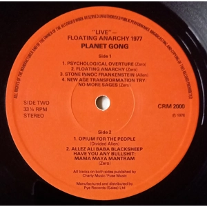 Planet Gong – Live Floating Anarchy 1977