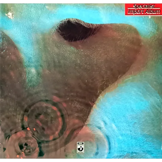 Meddle marks a pivotal moment in Pink Floyd’s evolution, bridging the experimental psychedelia of their early years with the expansive soundscapes that would soon define their classic era.