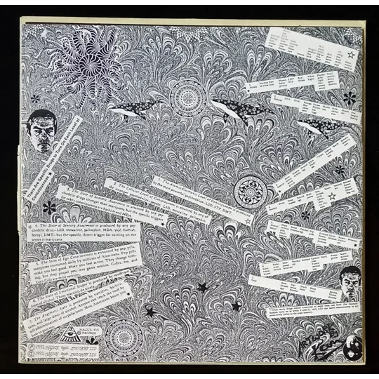 The Politics Of Ecstasy is an early and influential album from Astralasia, the pioneering British electronic/ambient project formed in the early 1990s. Known for blending ambient dub, tribal house, trance and psychedelic soundscapes, Astralasia emerged alongside other forward‑thinking UK electronic acts and helped define the electro‑hippie movement.