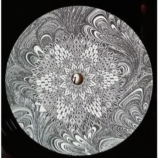 The Politics Of Ecstasy is an early and influential album from Astralasia, the pioneering British electronic/ambient project formed in the early 1990s. Known for blending ambient dub, tribal house, trance and psychedelic soundscapes, Astralasia emerged alongside other forward‑thinking UK electronic acts and helped define the electro‑hippie movement.
