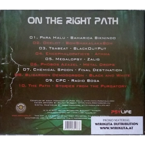 On The Right Path CD (Compilation)