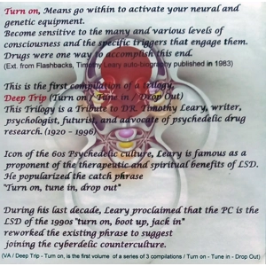 VA - Deep Trip Trilogy - Turn on (Vol 1) CD