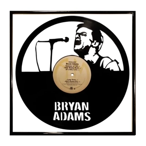 Brian Adams Vinyl Artwork Wall Decoration
