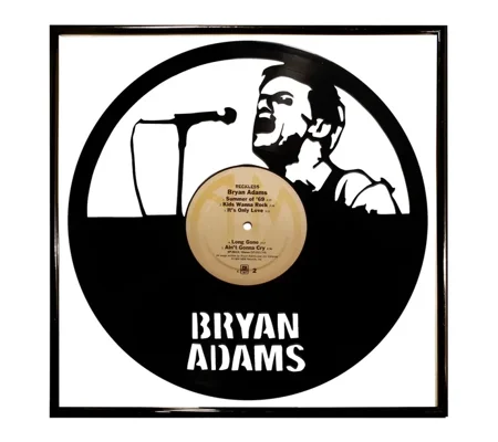 Brian Adams Vinyl Artwork Wall Decoration