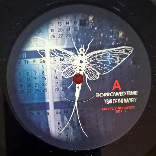 Year of the Mayfly is the debut full-length album from UK rock band Borrowed Time, released on 1 May 2019 via Mayfly Records. The record features a potent blend of alternative rock, punk and melodic alt-indie sensibilities, powered by energetic hooks, sharp riffs and lyrical themes rooted in personal reflection and social frustration.