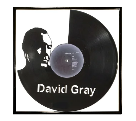 David Gray Portrait Vinyl Record Cut-Out